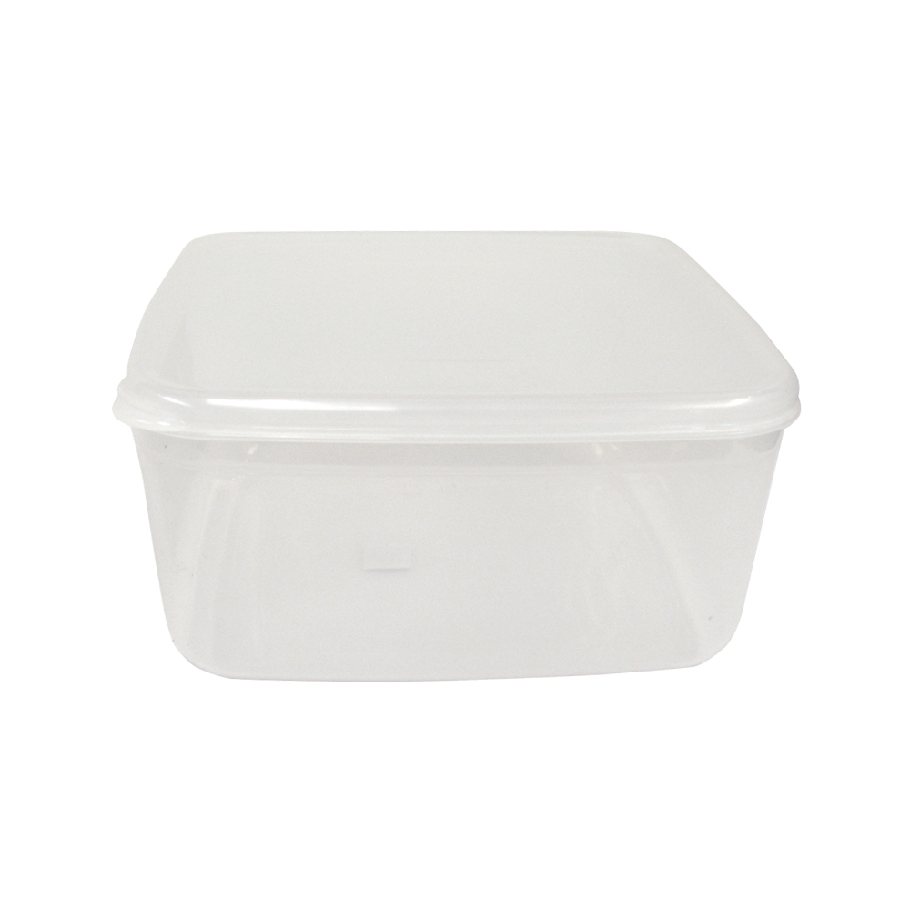 Prestige Cake Container 10l 