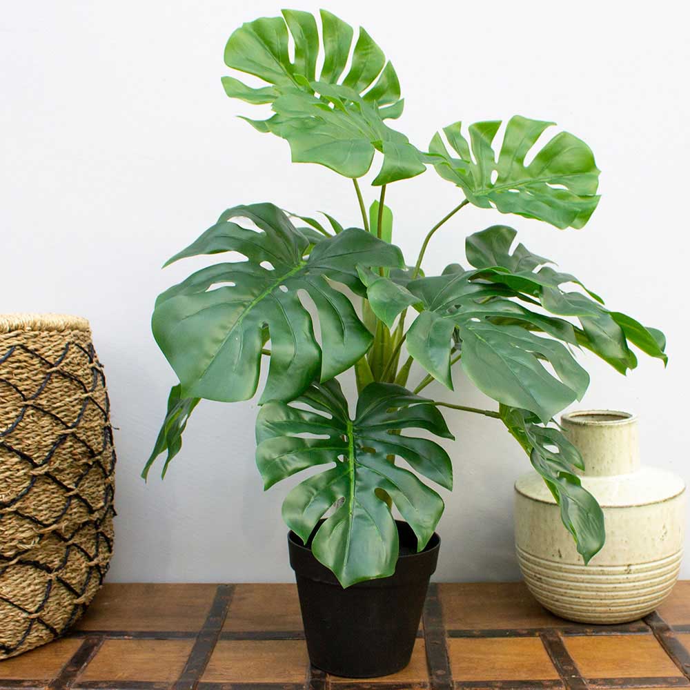 Faux Monstera Plant 60cm | Briscoes NZ