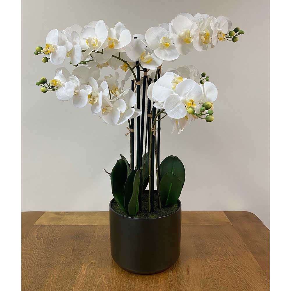 Real Touch 6 Spray Artificial Orchid in Black Modern Pot