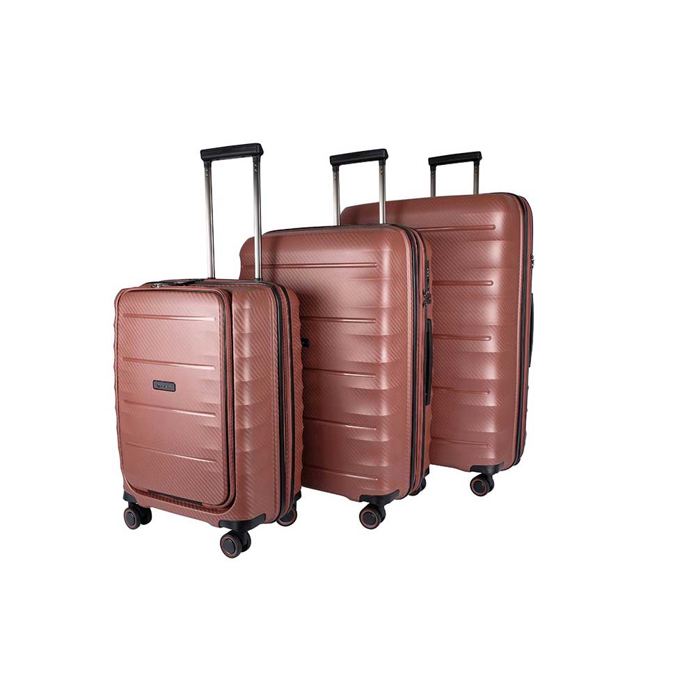 hand baggage and cabin luggage