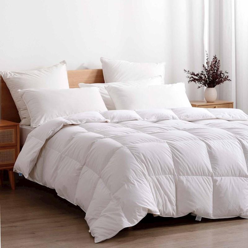 Briscoes feather duvet best sale