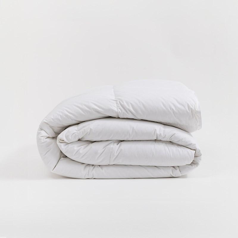 Briscoes feather sale duvet